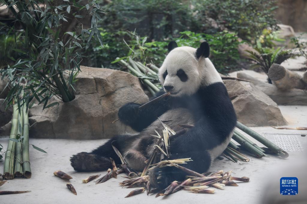 澳门威威尼斯5485