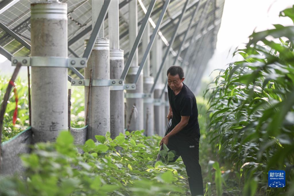 巴黎人注册送39网址
